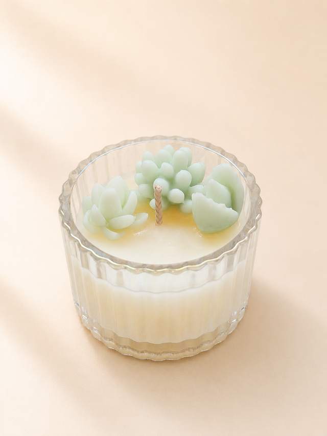 Candle with three wax succulents